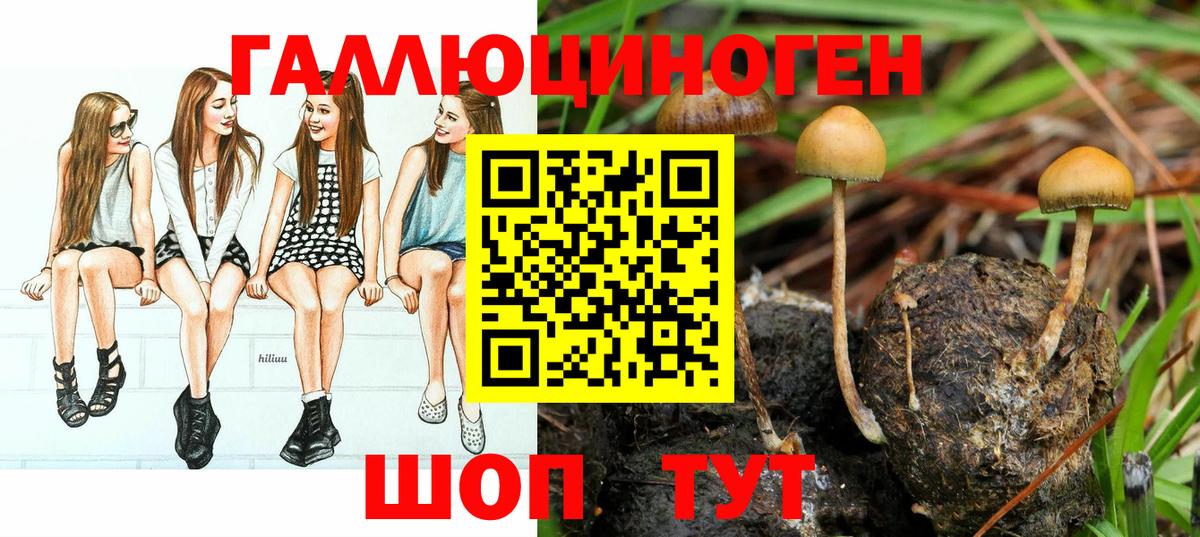 Псилоцибиновые грибы прущие грибы  Вход с VPN  что такое наркотик  Галлюциногенные грибы Cubensis  Знаменск 